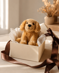 Cuddlo Regalo — peluche con packaging premium